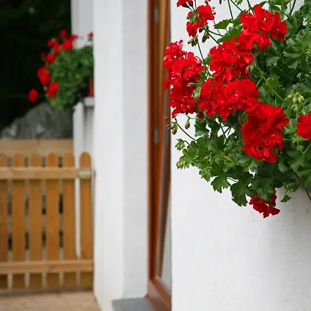 With A Terrace And A View Of The Valley Aywaille
