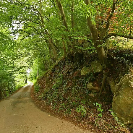 With A Terrace And A View Of The Valley * Aywaille