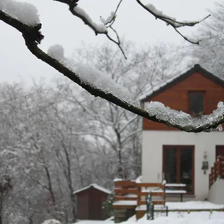 With A Terrace And A View Of The Valley Holiday home *