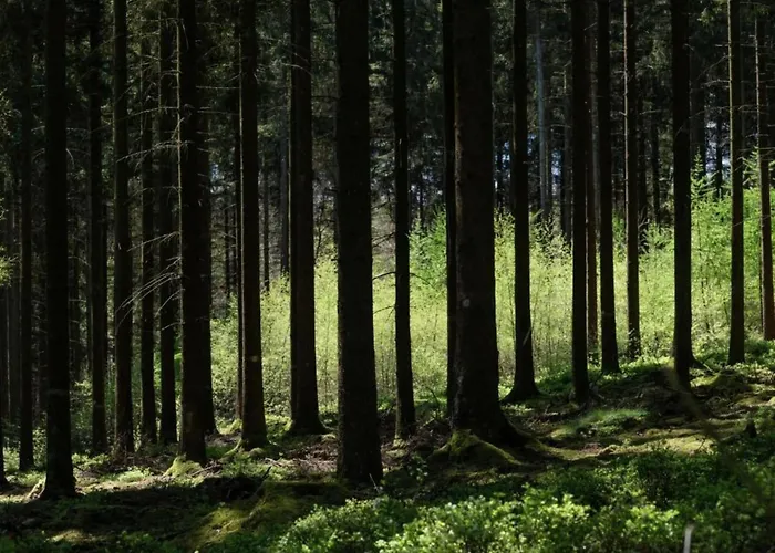 With A Terrace And A View Of The Valley Holiday home *